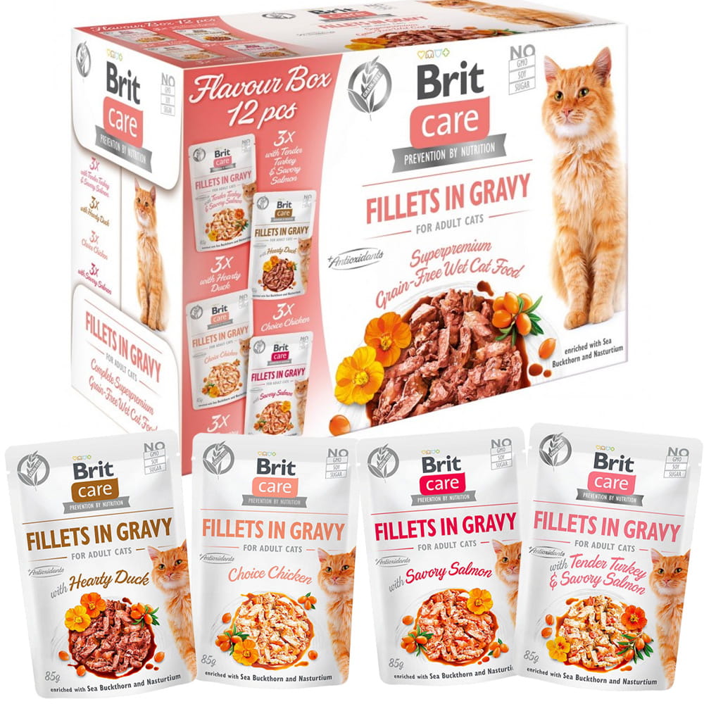 Brit Care Cat FG Flavour Box Karma Mokra dla Kota 12x85g
